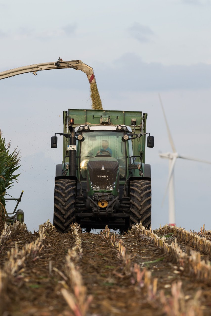 Bild 87 - Maisernte 2016